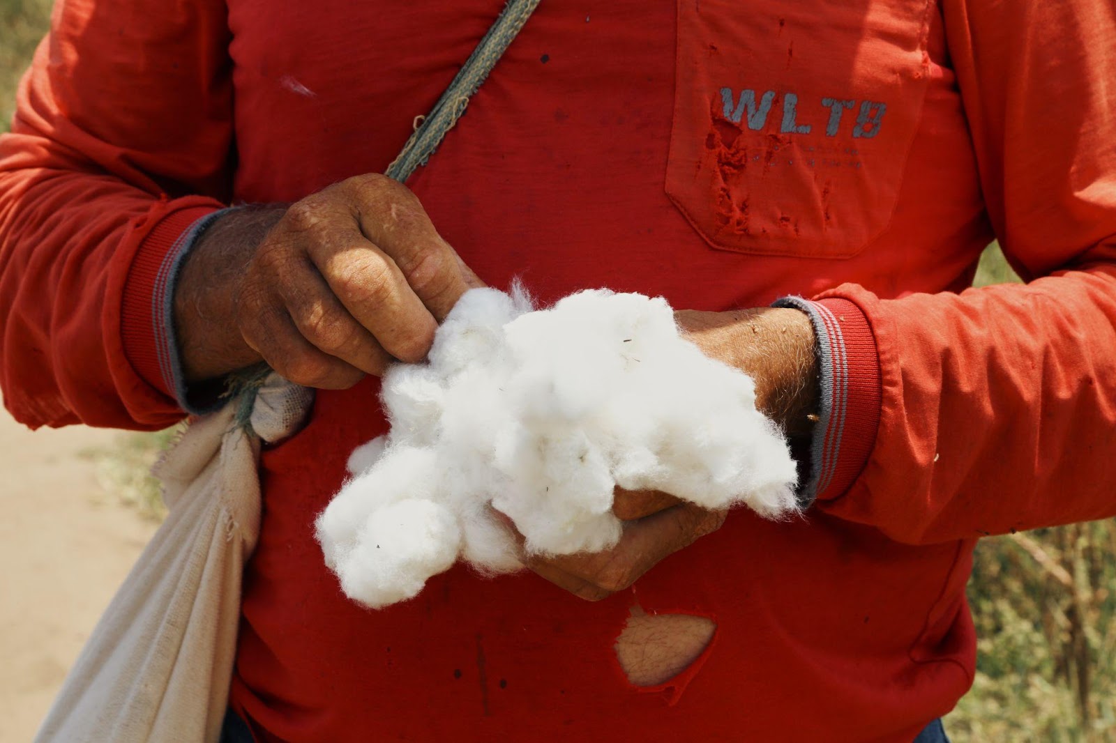 Saiba o que é uma malha orgânica