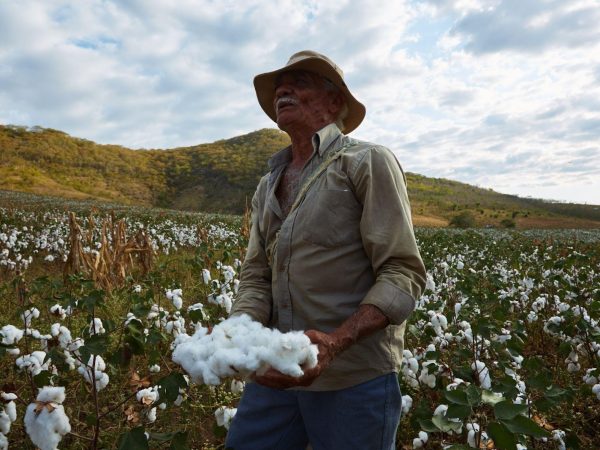Tudo o que você precisa saber sobre uma malha sustentável