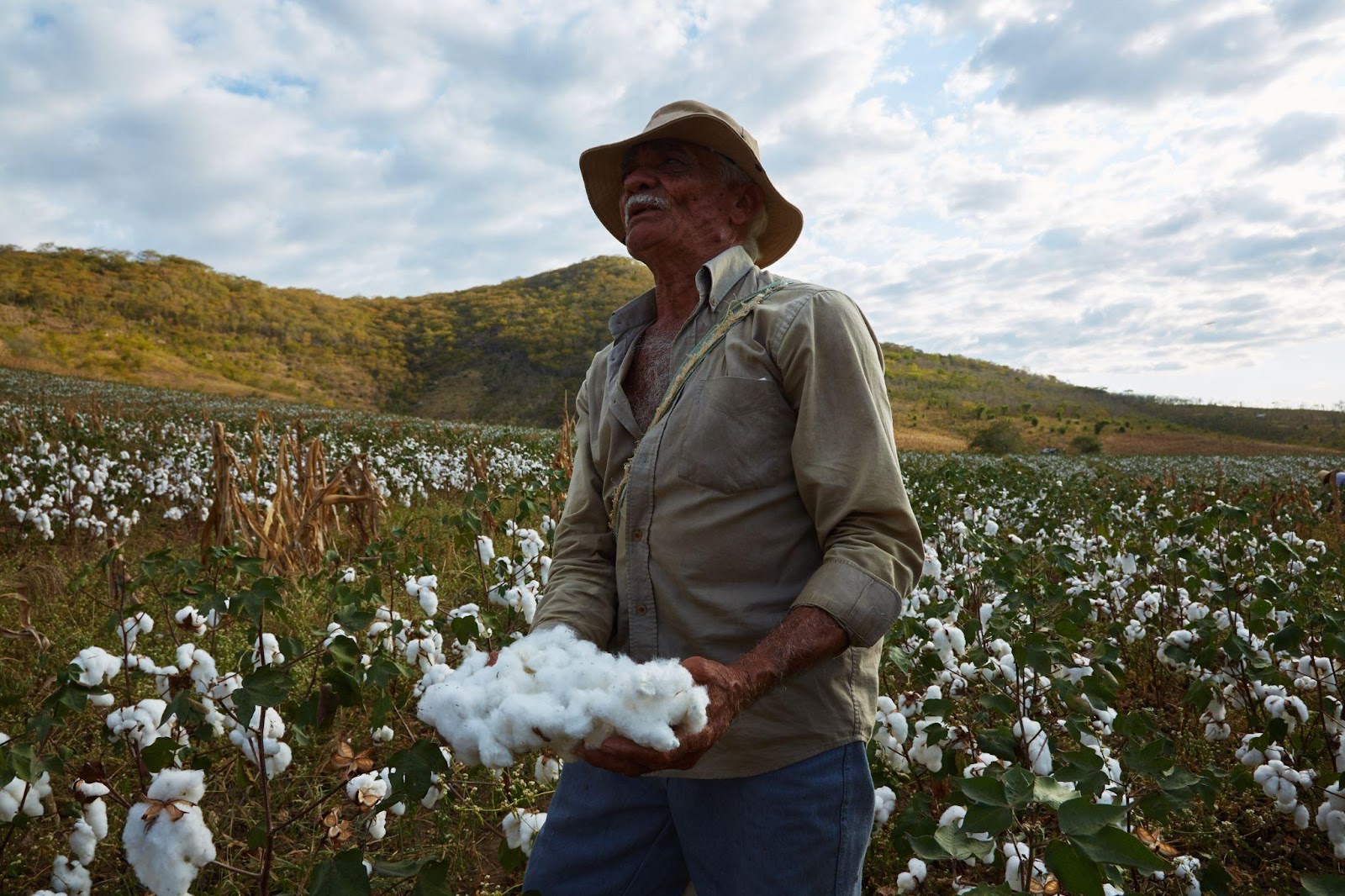Tudo o que você precisa saber sobre uma malha sustentável