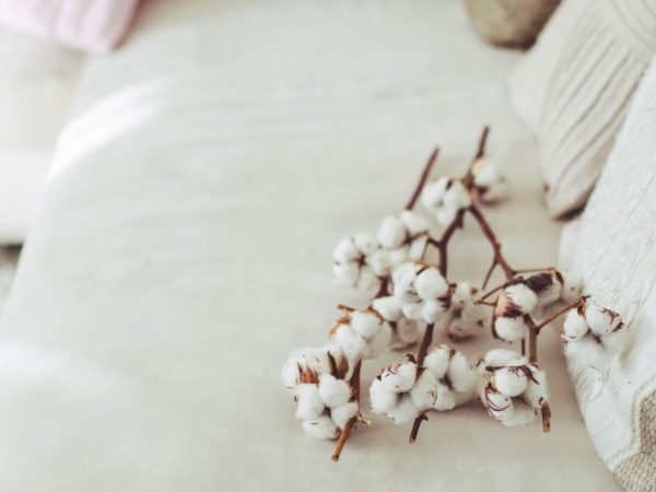 O que é fio egípcio e suas vantagens